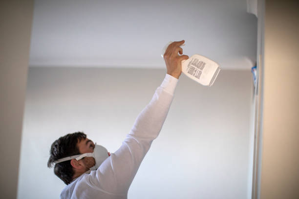 Professional Mold Removal in Burbank, CA