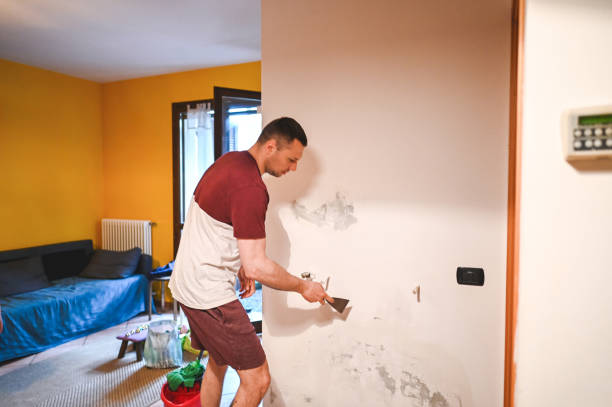 Best Mold Damage Repair  in Burbank, CA