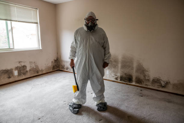 Best Attic Mold Removal  in Burbank, CA